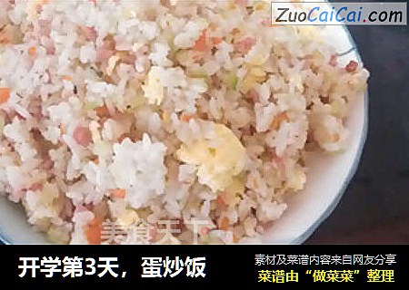开学第3天，蛋炒饭