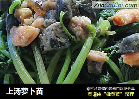 上汤萝卜苗