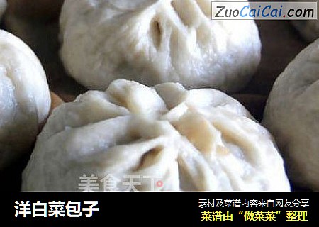 洋白菜包子