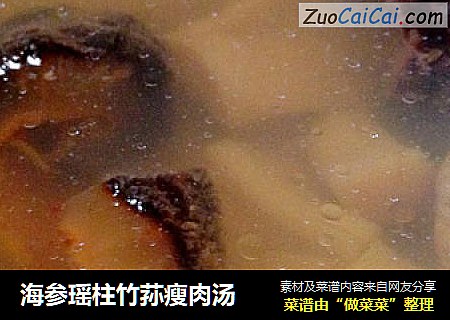 海参瑶柱竹荪瘦肉汤