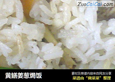 黄鳝姜葱焗饭