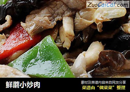 鲜蘑小炒肉