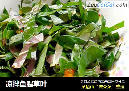 凉拌鱼腥草叶