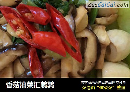 香菇油菜汇鹌鹑