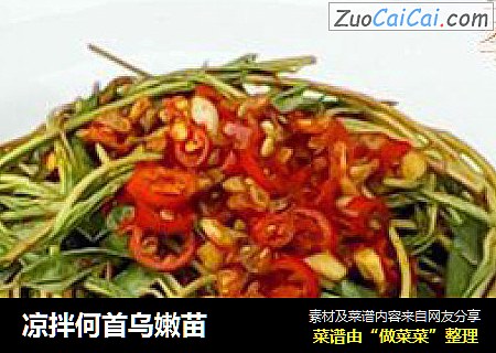 凉拌何首乌嫩苗