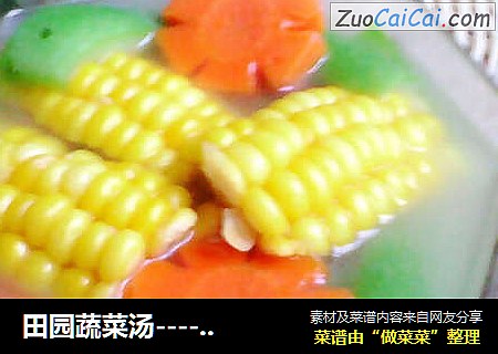 田园蔬菜汤----胡萝卜玉米丝瓜汤