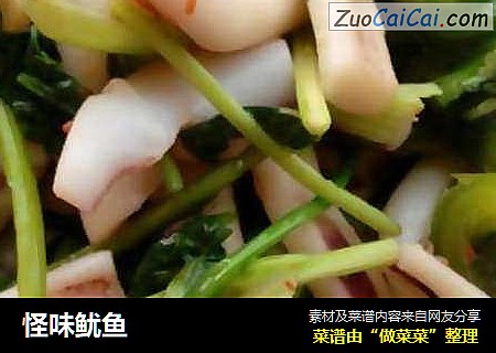 怪味鱿鱼