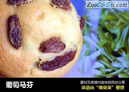 葡萄马芬