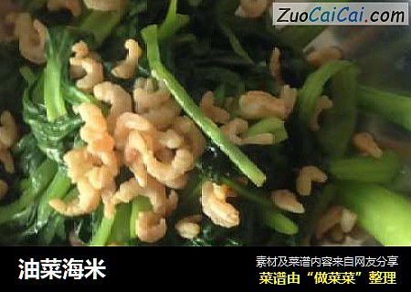 油菜海米
