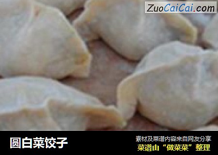 圆白菜饺子