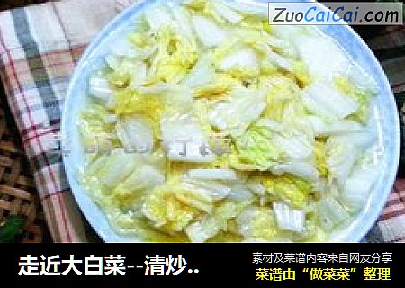 走近大白菜--清炒大白菜