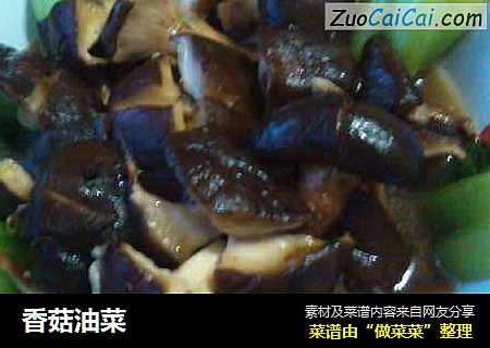 香菇油菜