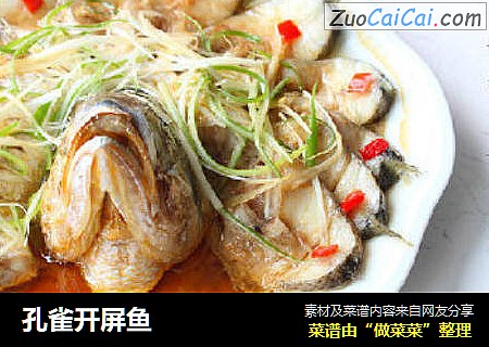 孔雀开屏鱼