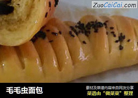毛毛虫面包