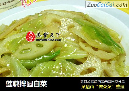莲藕拌圆白菜