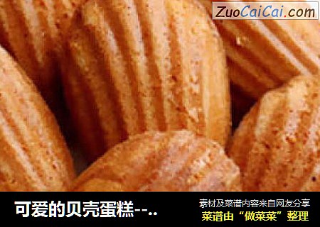 可爱的贝壳蛋糕--玛德琳