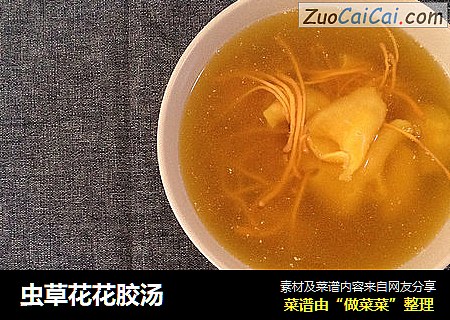 虫草花花胶汤