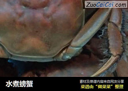水煮螃蟹