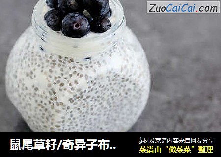 鼠尾草籽/奇异子布丁chiaseed