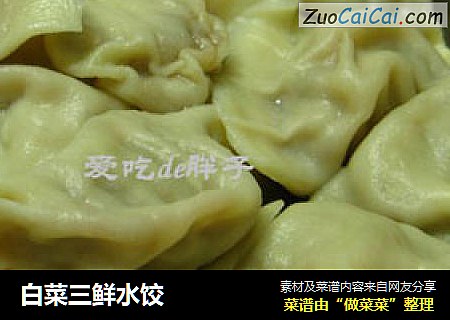 白菜三鲜水饺