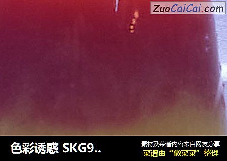 色彩诱惑SKG9999原汁机食谱