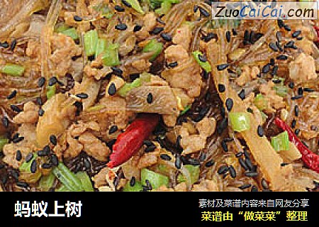 蚂蚁上树