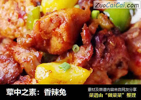 荤中之素：香辣兔