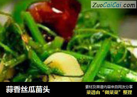 蒜香丝瓜苗头