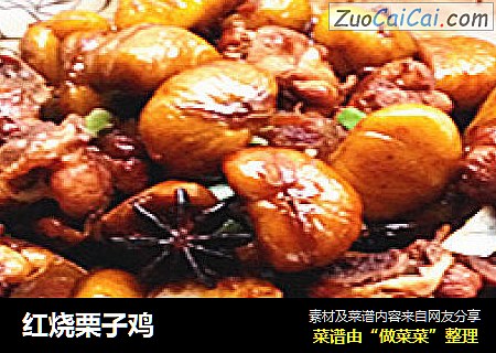 红烧栗子鸡