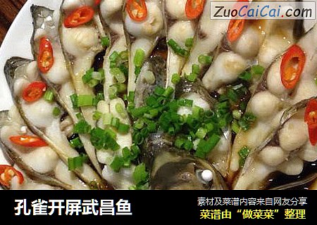 孔雀开屏武昌鱼