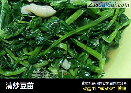 清炒豆苗