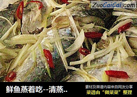 鲜鱼蒸着吃--清蒸鲅鱼