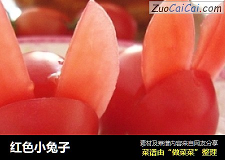 红色小兔子