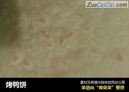 烤鸭饼