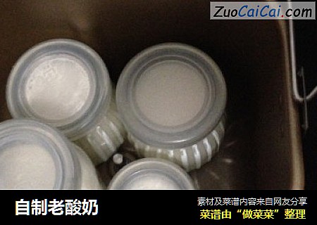 自制老酸奶