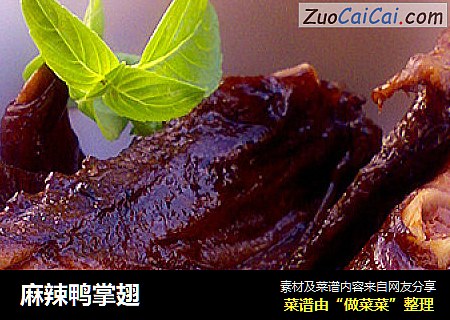麻辣鸭掌翅