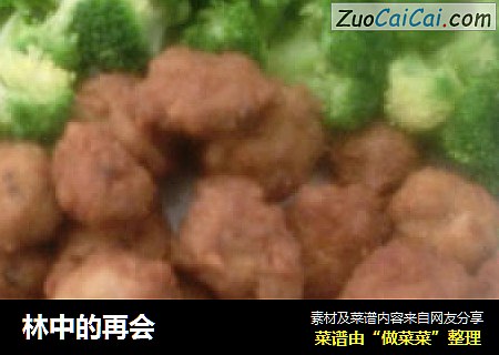 林中的再会