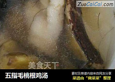五指毛桃根鸡汤