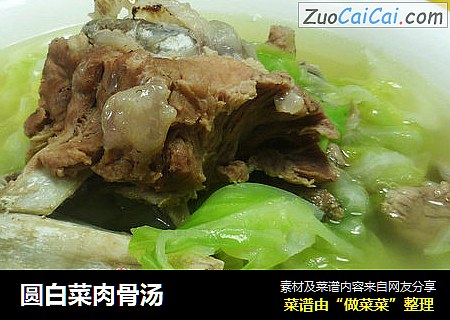 圆白菜肉骨汤