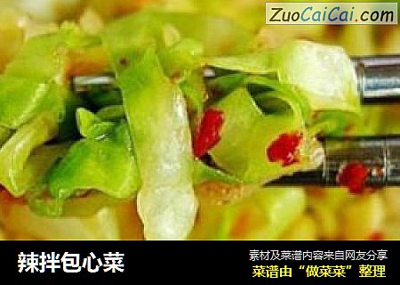 辣拌包心菜