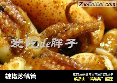 辣椒炒笔管