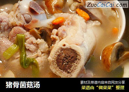 猪骨菌菇汤