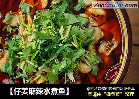 【仔姜麻辣水煮鱼】