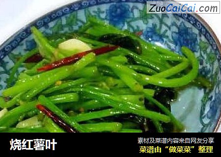 烧红薯叶