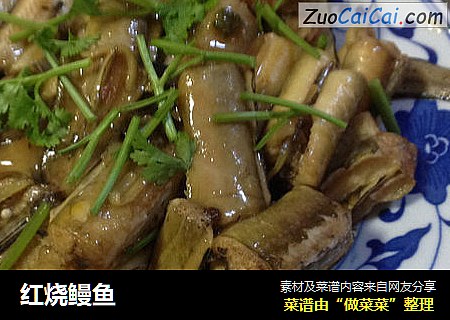 红烧鳗鱼