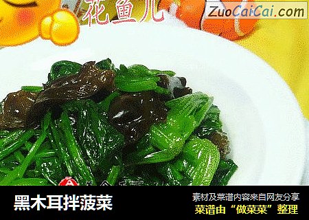 黑木耳拌菠菜