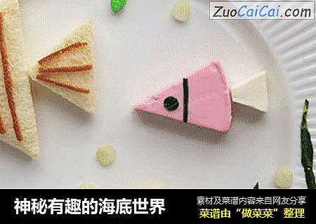 神秘有趣的海底世界
