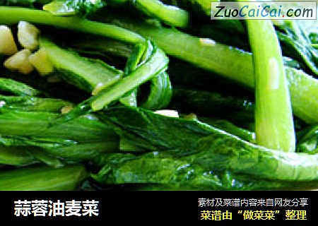 蒜蓉油麦菜