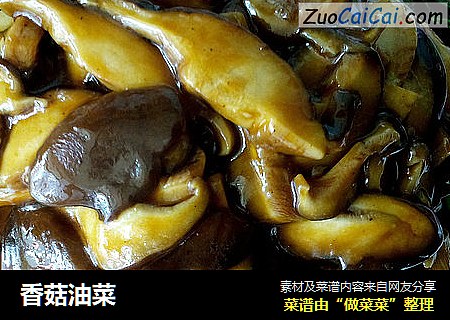 香菇油菜