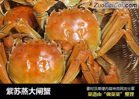 紫苏蒸大闸蟹